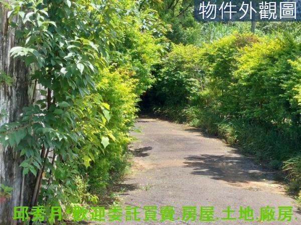 新北建地-3