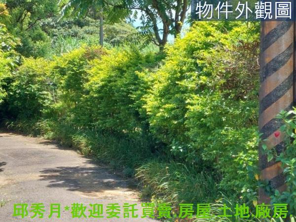 新北建地-4