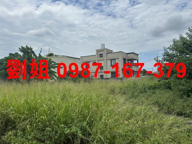 台南善化建地-0