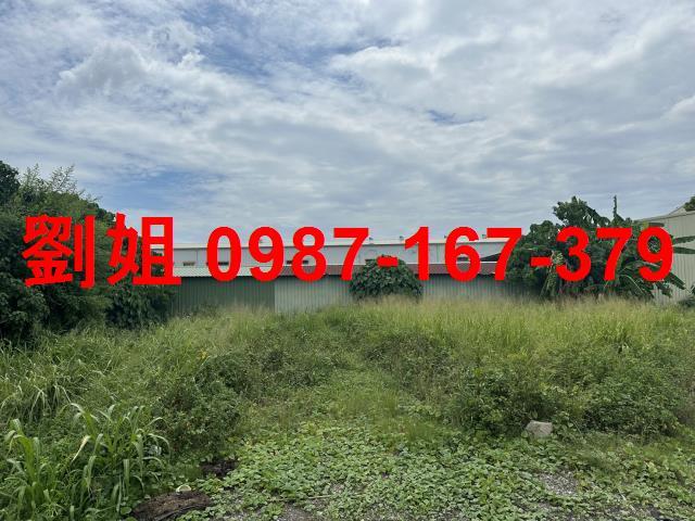 台南善化建地-1