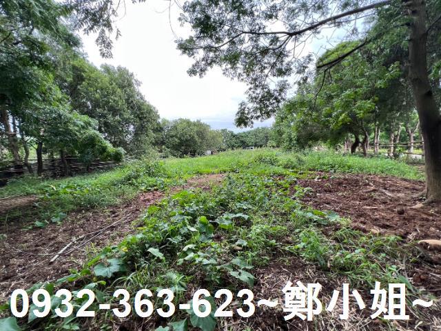 桃園蘆竹建地-11