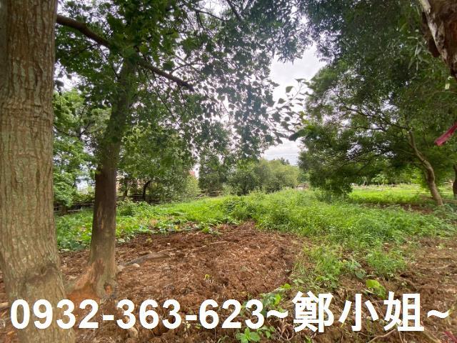 桃園蘆竹建地-14