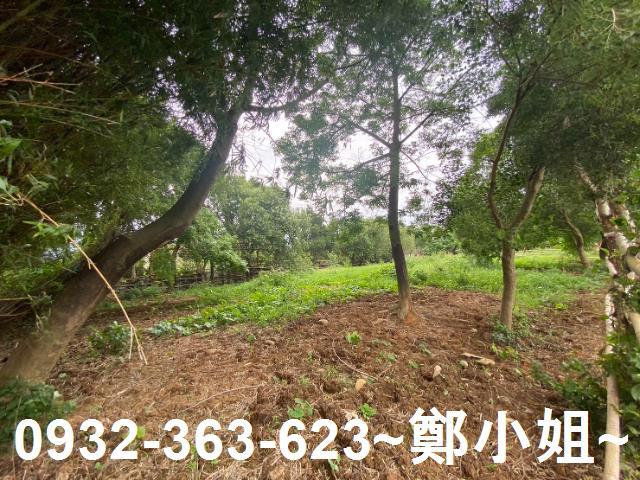 桃園蘆竹建地-2