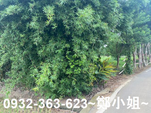 桃園蘆竹建地-6
