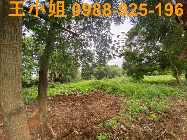 桃園蘆竹建地-9