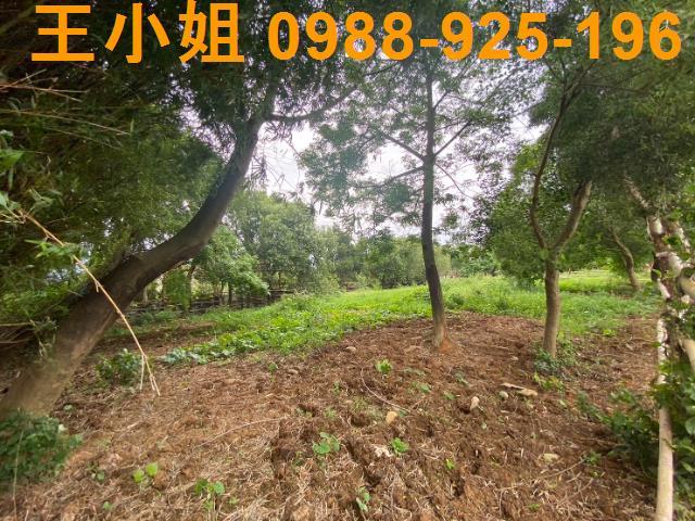 桃園蘆竹建地-10