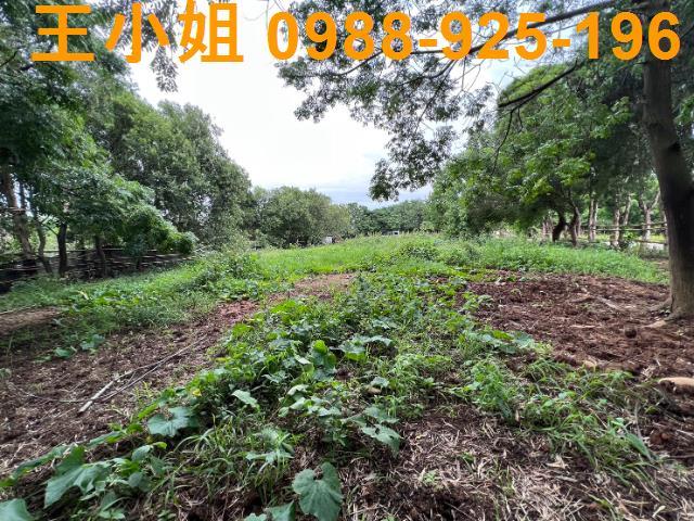 桃園蘆竹建地-11