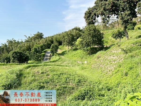 苗栗公館建地-2