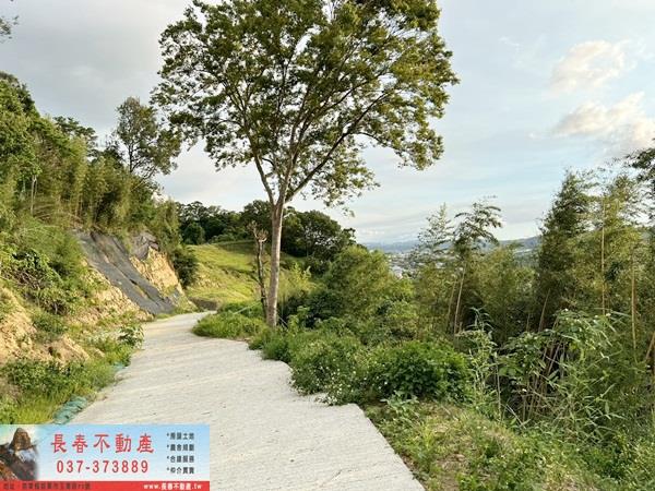 苗栗公館建地-7