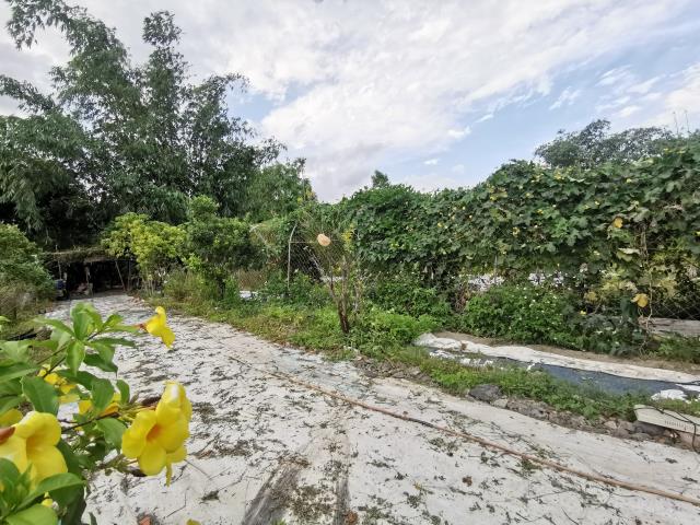 宜蘭員山建地-8