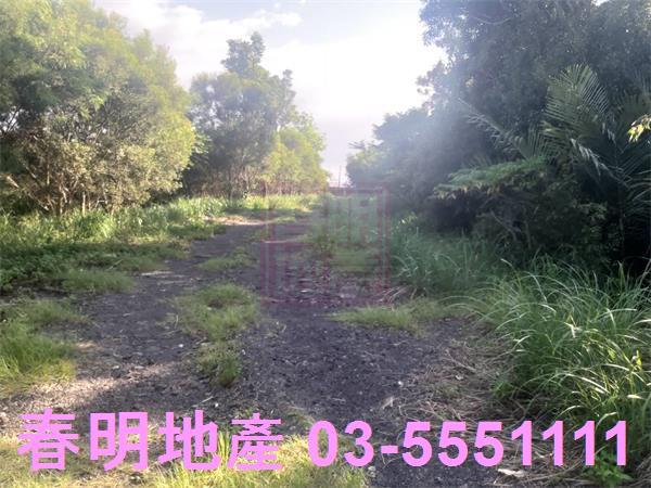 新竹寶山建地-2
