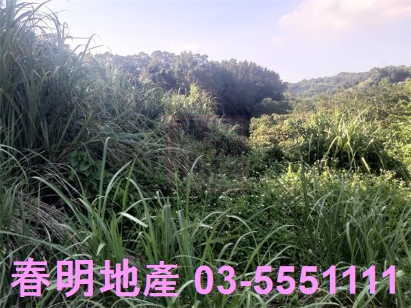 新竹寶山建地-8