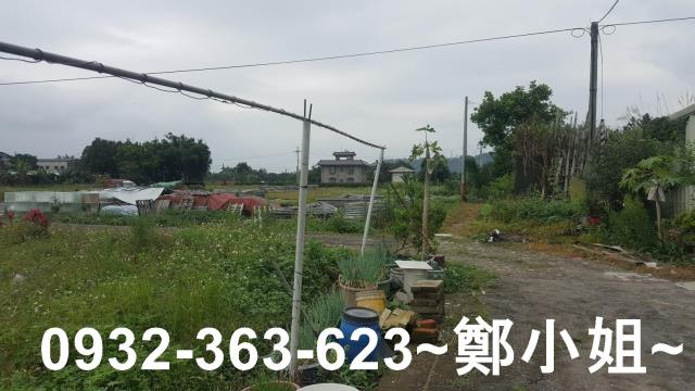 桃園建地-8