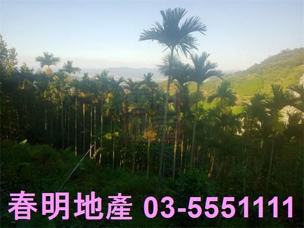 北埔建地-10