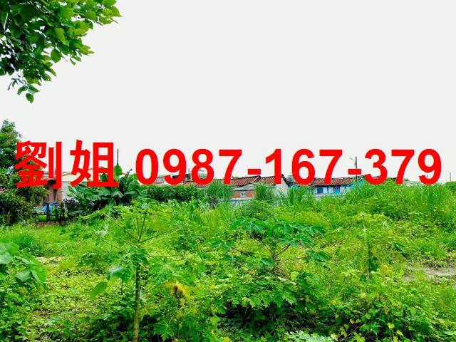 台南新營建地-0