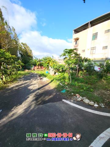 桃園建地-4