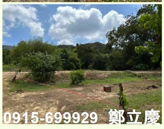 桃園龍潭建地-6