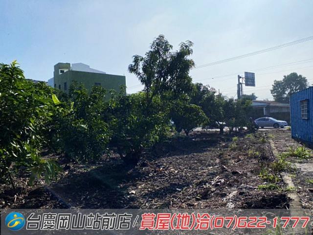阿蓮建地-4