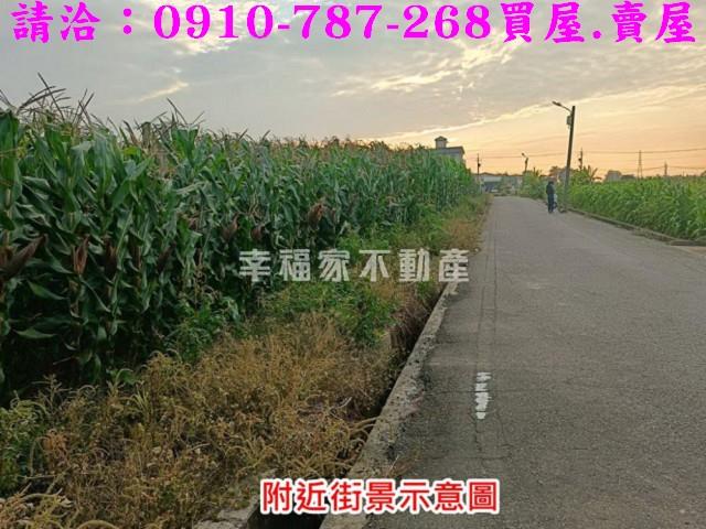 台南建地-10
