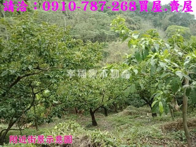 嘉義番路建地-7