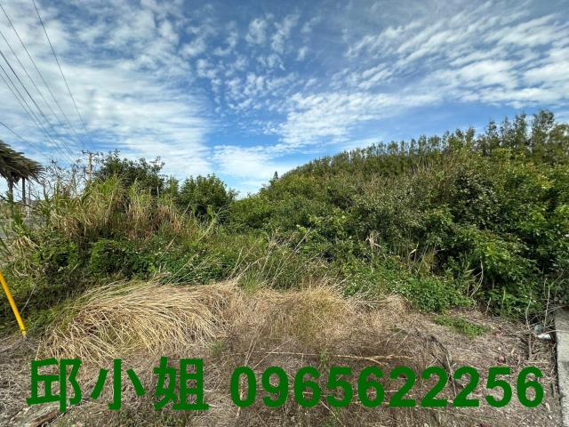 雲林四湖建地-0