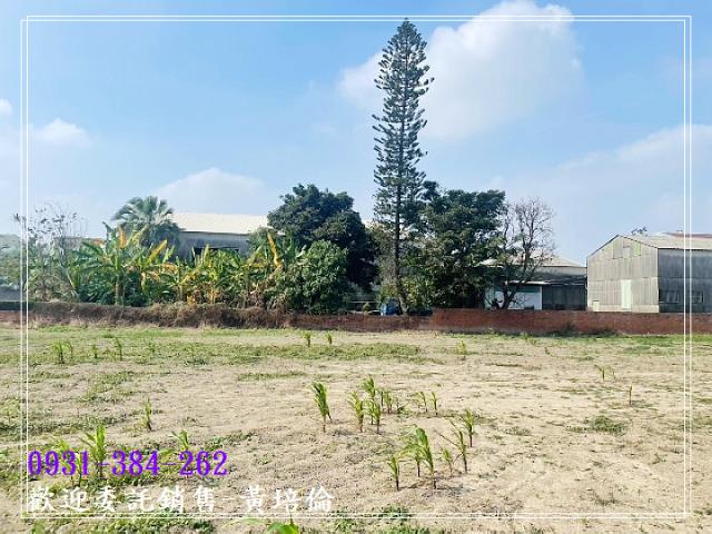 後壁南安溪寮丁建農地