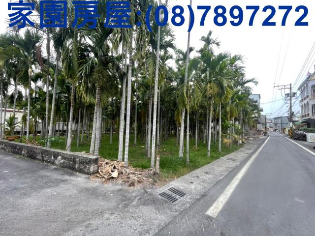 屏東新埤建地-3