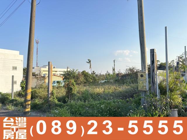台東建地-2