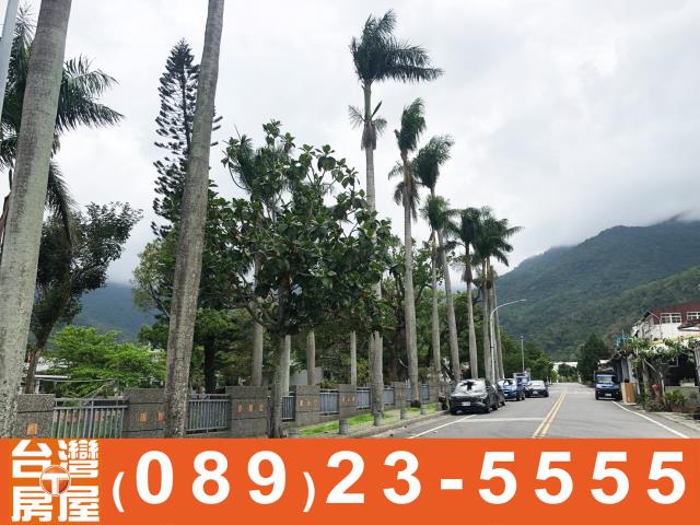 台東關山建地-11