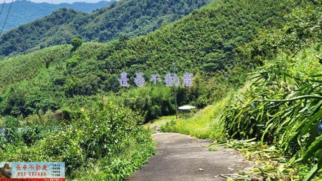 苗栗建地-3