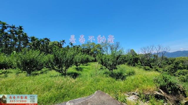 苗栗建地-5