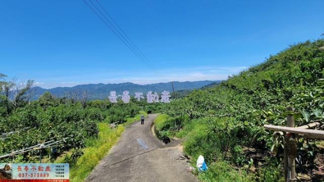 苗栗建地-7