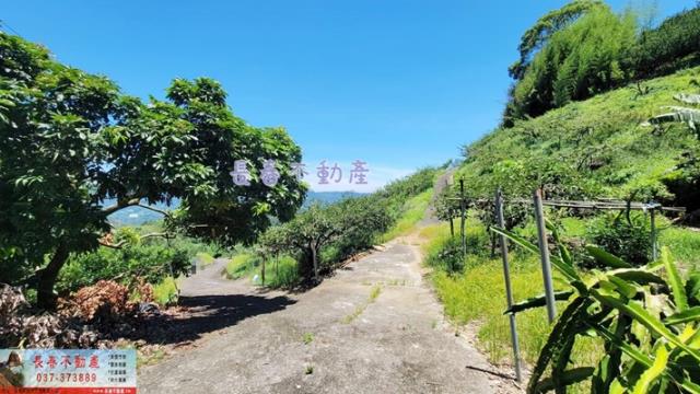 苗栗建地-8