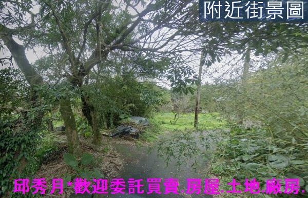 新北三芝建地-3