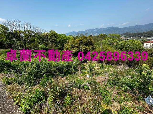 苗栗建地-3