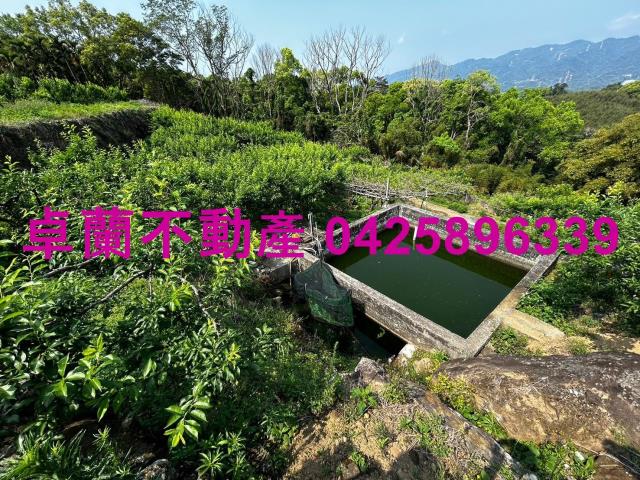 苗栗建地-4