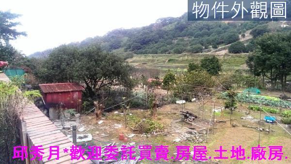 三芝建地-10