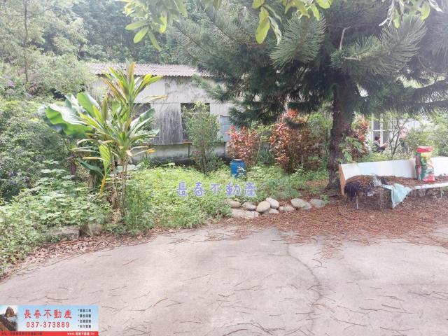 苗栗西湖建地-4