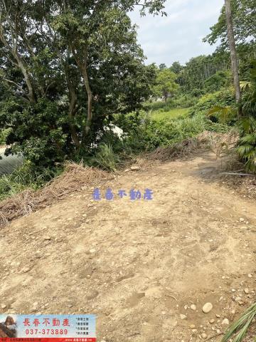 苗栗西湖建地-5