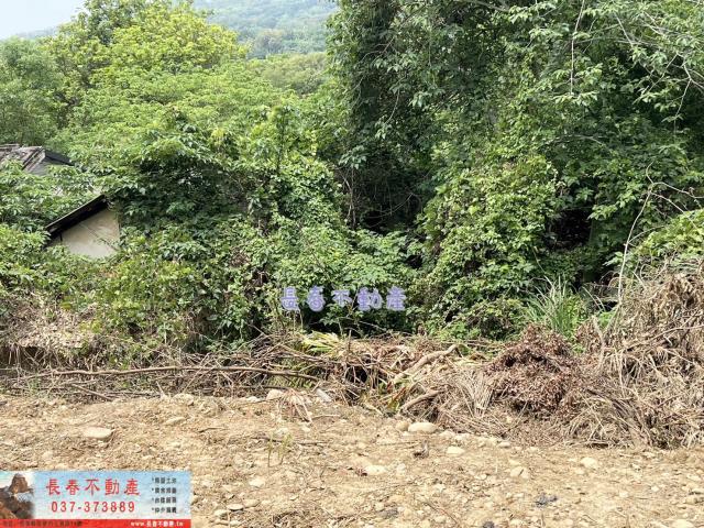 苗栗西湖建地-6