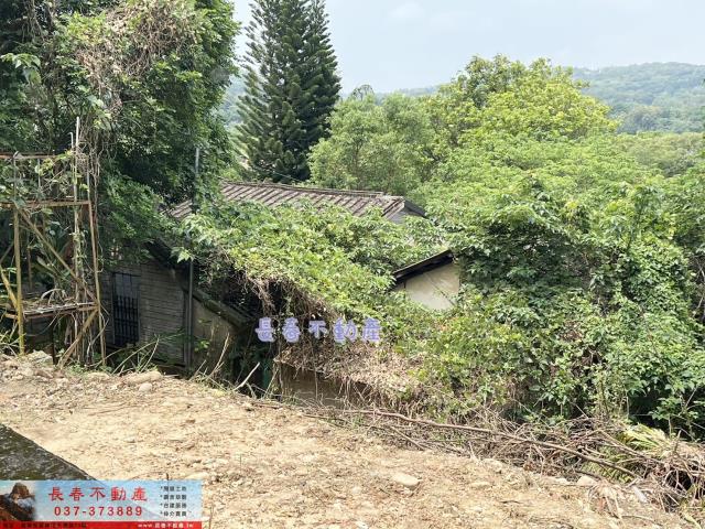 苗栗西湖建地-7