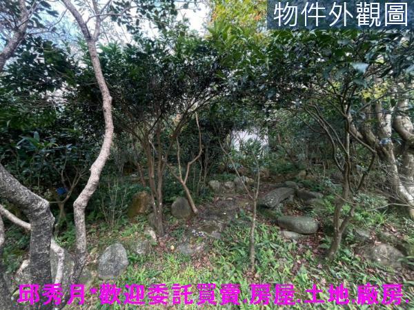 三芝建地-11