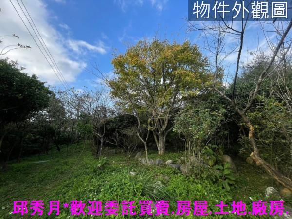 三芝建地-12