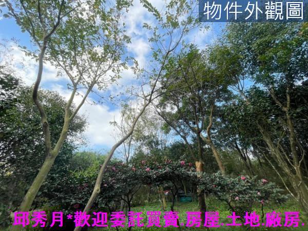 三芝建地-13