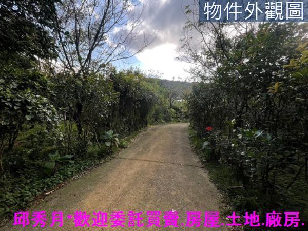 三芝建地-3