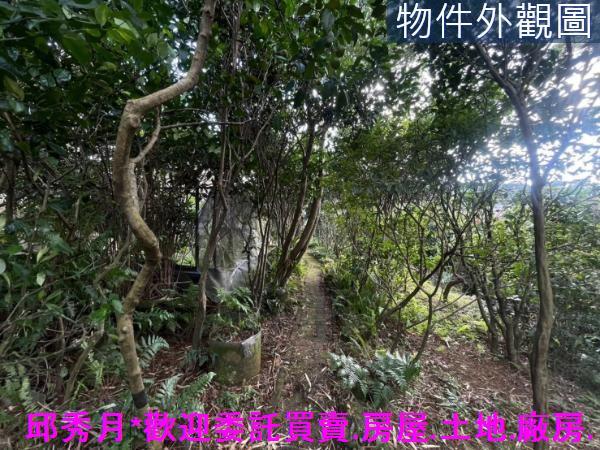 三芝建地-7