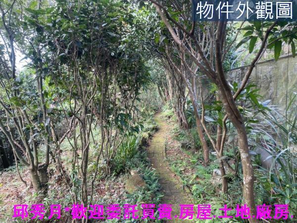 三芝建地-8