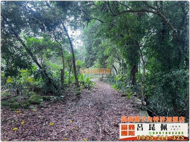 嘉義建地-1