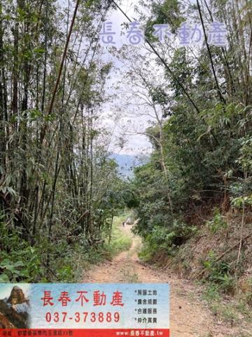 苗栗銅鑼建地-1
