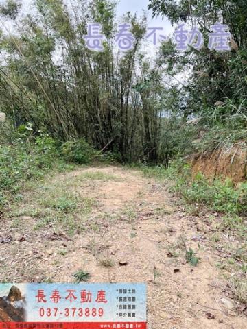 苗栗銅鑼建地-2